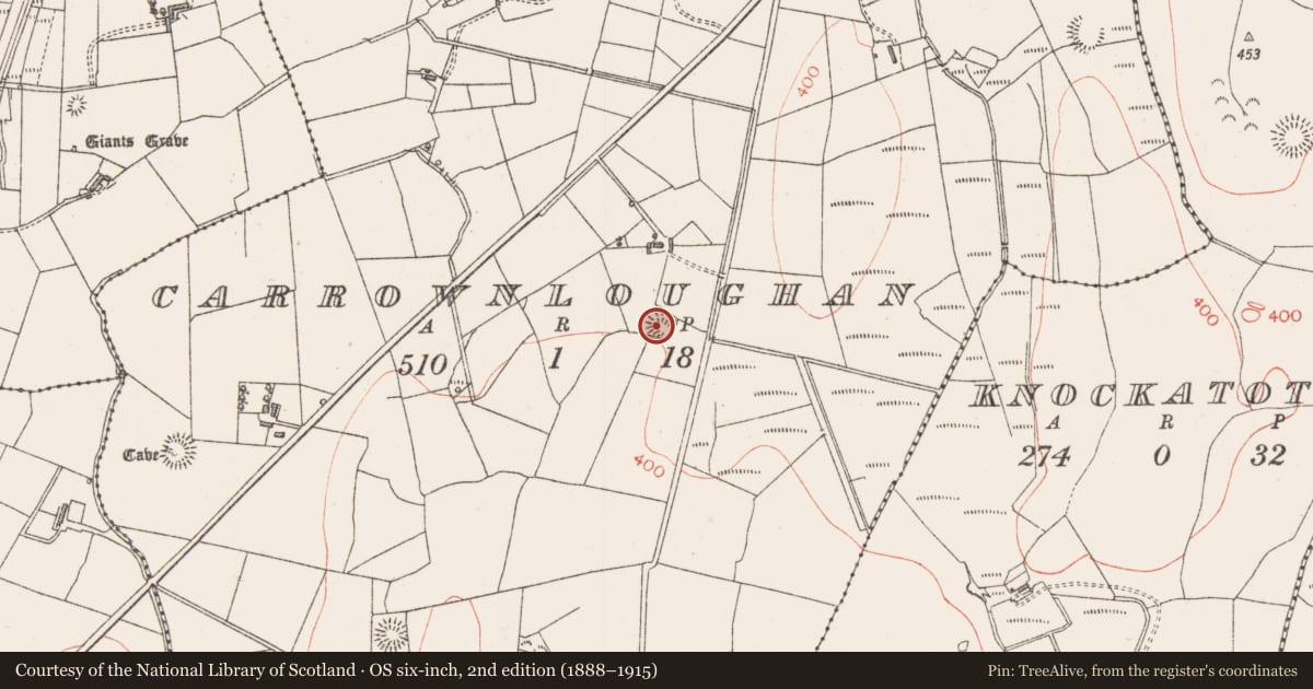 Ordnance Survey six-inch map, 2nd edition (1888–1915) covering the location of Ringfort - rath, Carrownloughan, County Sligo, with a pin at the register's coordinates