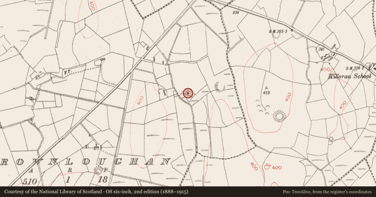 Ordnance Survey six-inch map, 2nd edition (1888–1915) covering the location of Moated site, Carrownloughan, County Sligo, with a pin at the register's coordinates
