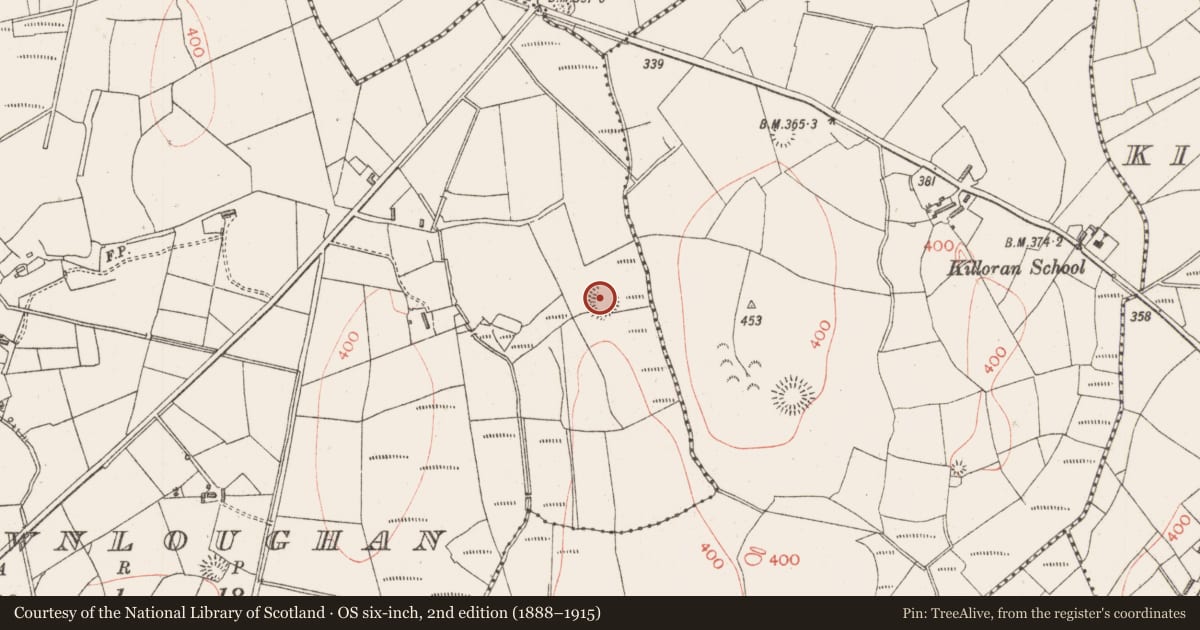 Ordnance Survey six-inch map, 2nd edition (1888–1915) covering the location of Ringfort - rath, Carrownloughan, County Sligo, with a pin at the register's coordinates