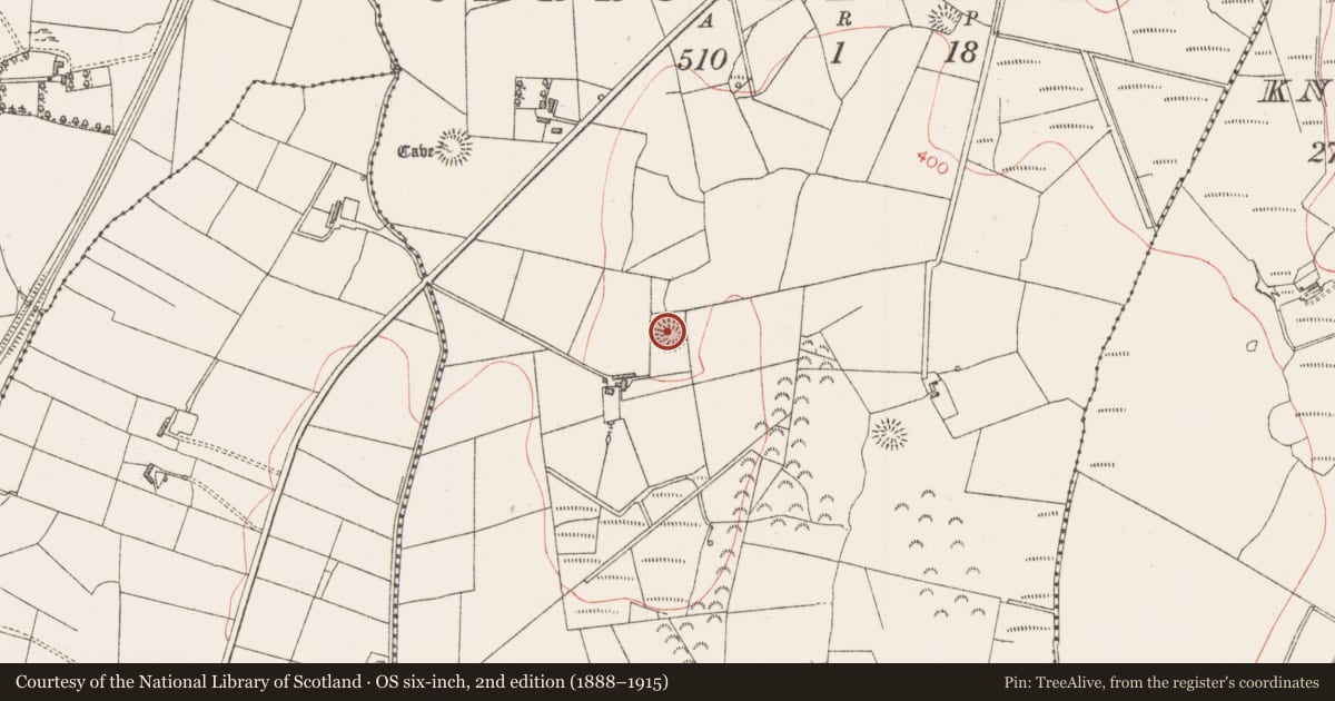 Ordnance Survey six-inch map, 2nd edition (1888–1915) covering the location of Ringfort - rath, Carrownloughan, County Sligo, with a pin at the register's coordinates