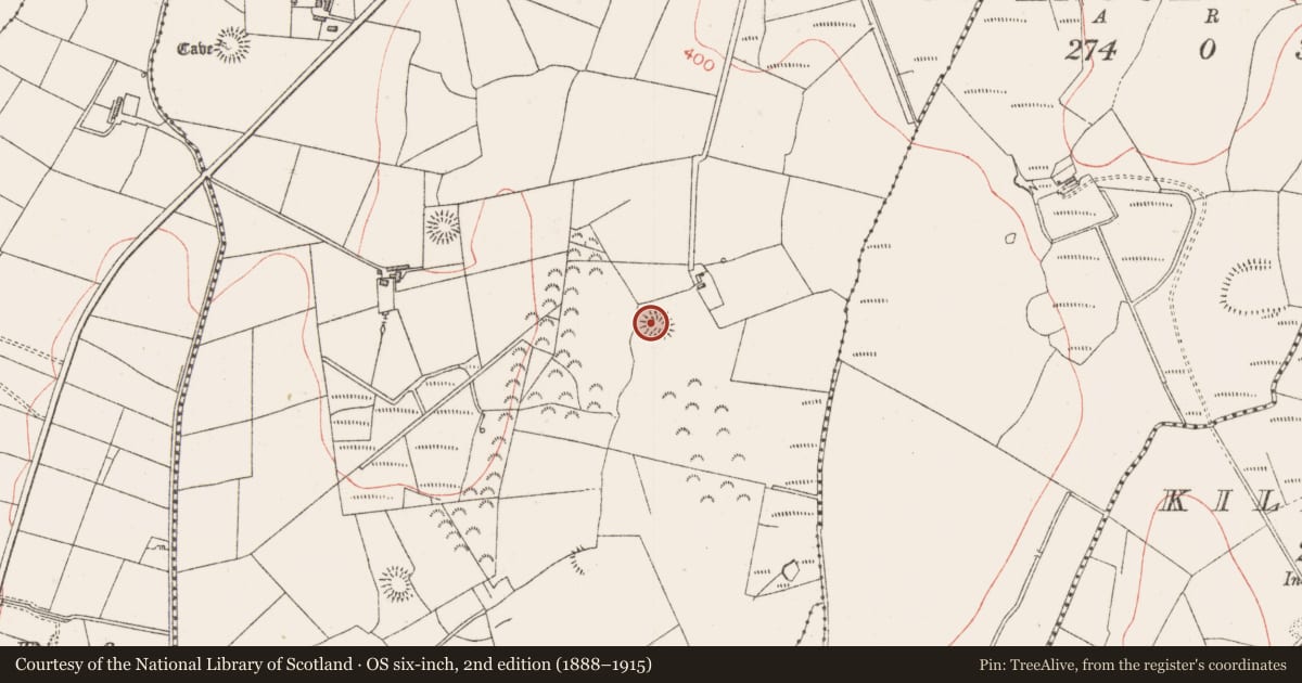 Ordnance Survey six-inch map, 2nd edition (1888–1915) covering the location of Ringfort - rath, Carrownloughan, County Sligo, with a pin at the register's coordinates