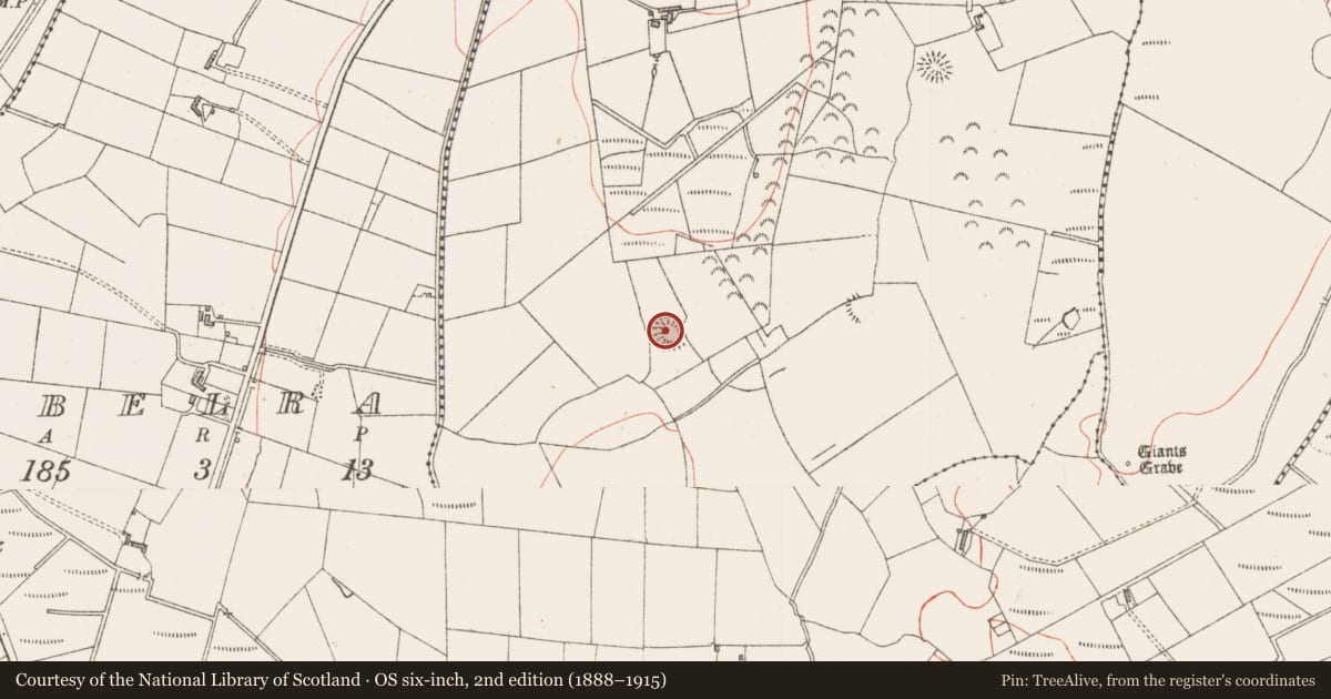 Ordnance Survey six-inch map, 2nd edition (1888–1915) covering the location of Ringfort - rath, Carrownloughan, County Sligo, with a pin at the register's coordinates
