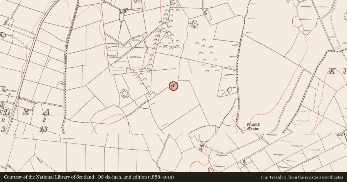 Ordnance Survey six-inch map, 2nd edition (1888–1915) covering the location of Ringfort - rath, Carrownloughan, County Sligo, with a pin at the register's coordinates