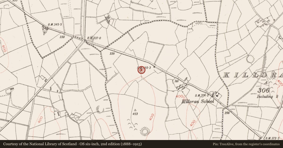 Ordnance Survey six-inch map, 2nd edition (1888–1915) covering the location of Ringfort - rath, Knockatotaun, County Sligo, with a pin at the register's coordinates
