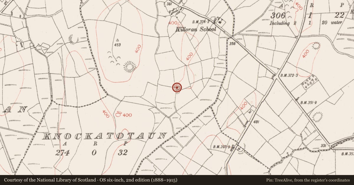 Ordnance Survey six-inch map, 2nd edition (1888–1915) covering the location of Enclosure, Knockatotaun, County Sligo, with a pin at the register's coordinates