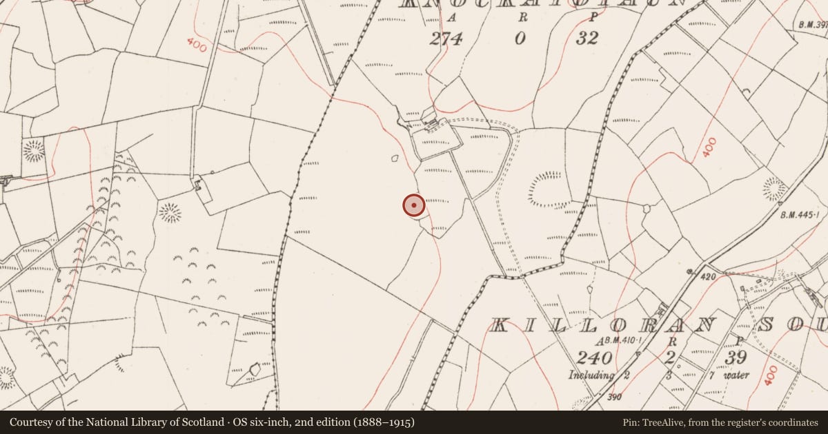 Ordnance Survey six-inch map, 2nd edition (1888–1915) covering the location of Ringfort - rath, Knockatotaun, County Sligo, with a pin at the register's coordinates