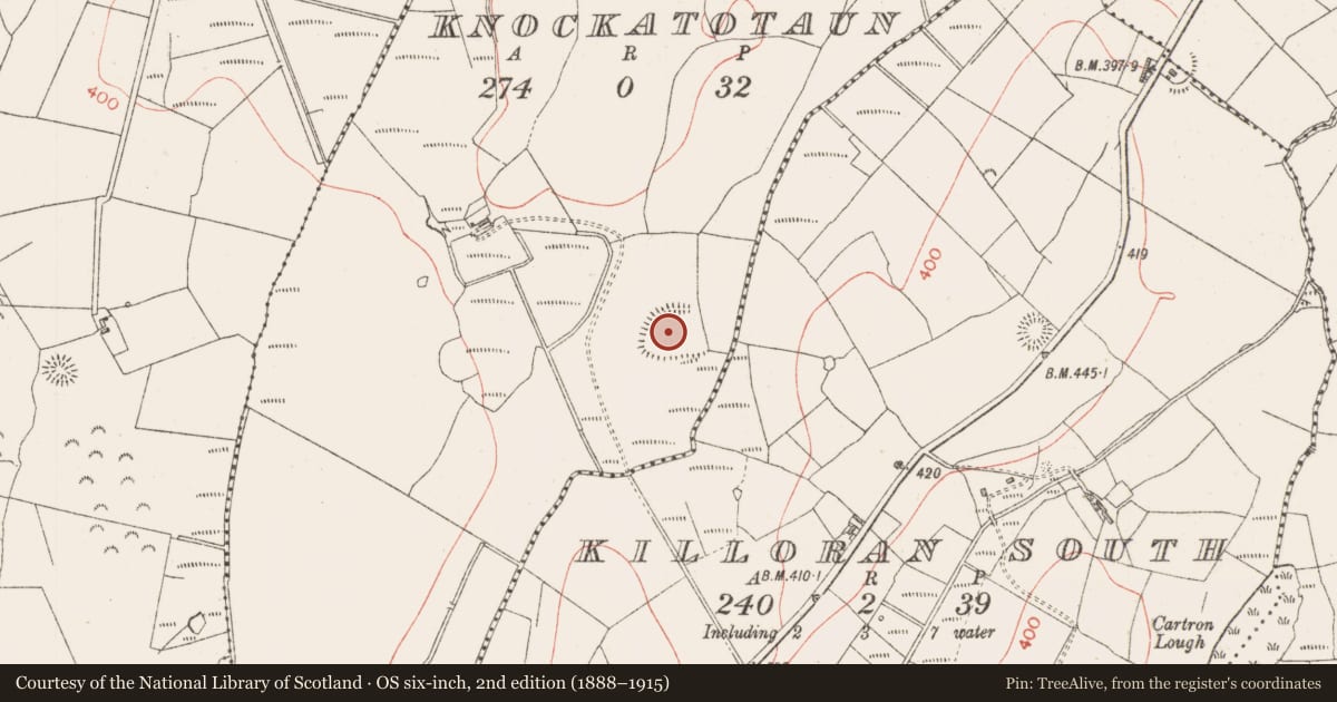 Ordnance Survey six-inch map, 2nd edition (1888–1915) covering the location of Ringfort - rath, Knockatotaun, County Sligo, with a pin at the register's coordinates