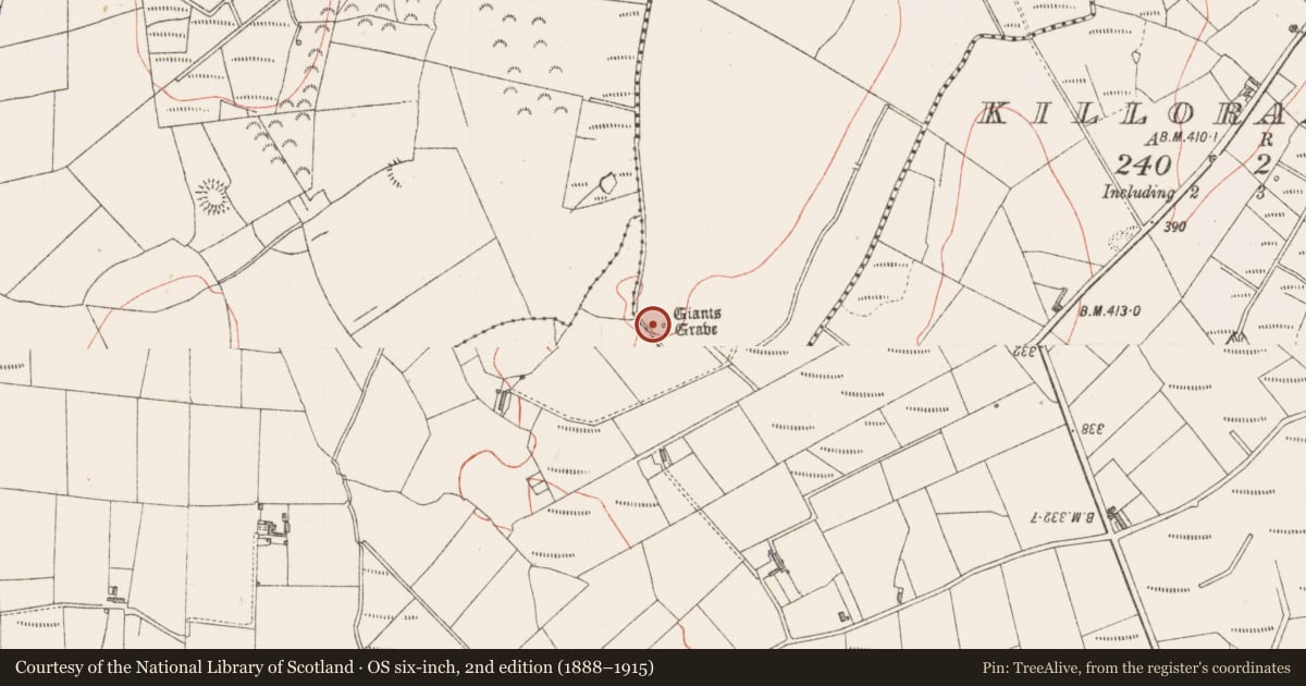 Ordnance Survey six-inch map, 2nd edition (1888–1915) covering the location of Megalithic structure, Knockatotaun, County Sligo, with a pin at the register's coordinates