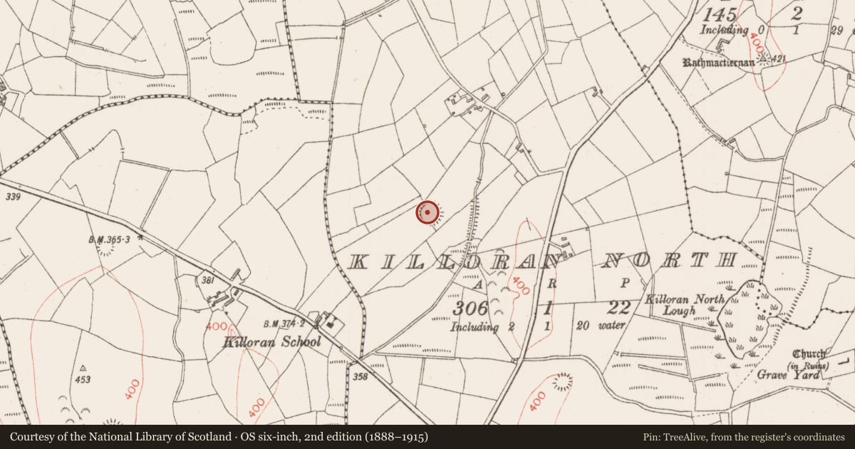 Ordnance Survey six-inch map, 2nd edition (1888–1915) covering the location of Ringfort - rath, Killoran North, County Sligo, with a pin at the register's coordinates