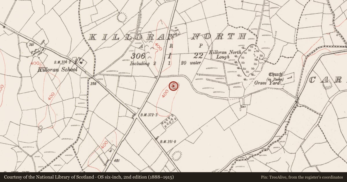 Ordnance Survey six-inch map, 2nd edition (1888–1915) covering the location of Ringfort - rath, Killoran North, County Sligo, with a pin at the register's coordinates
