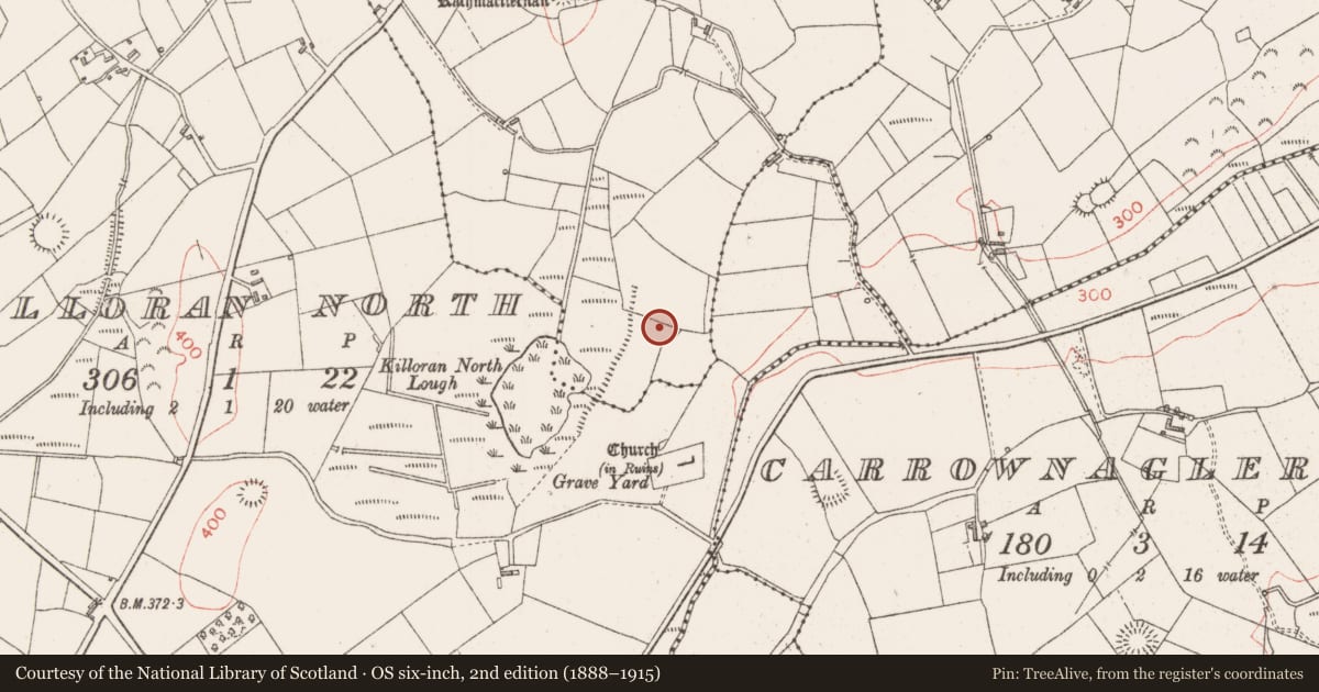 Ordnance Survey six-inch map, 2nd edition (1888–1915) covering the location of Ringfort - rath, Rathmactiernan, County Sligo, with a pin at the register's coordinates