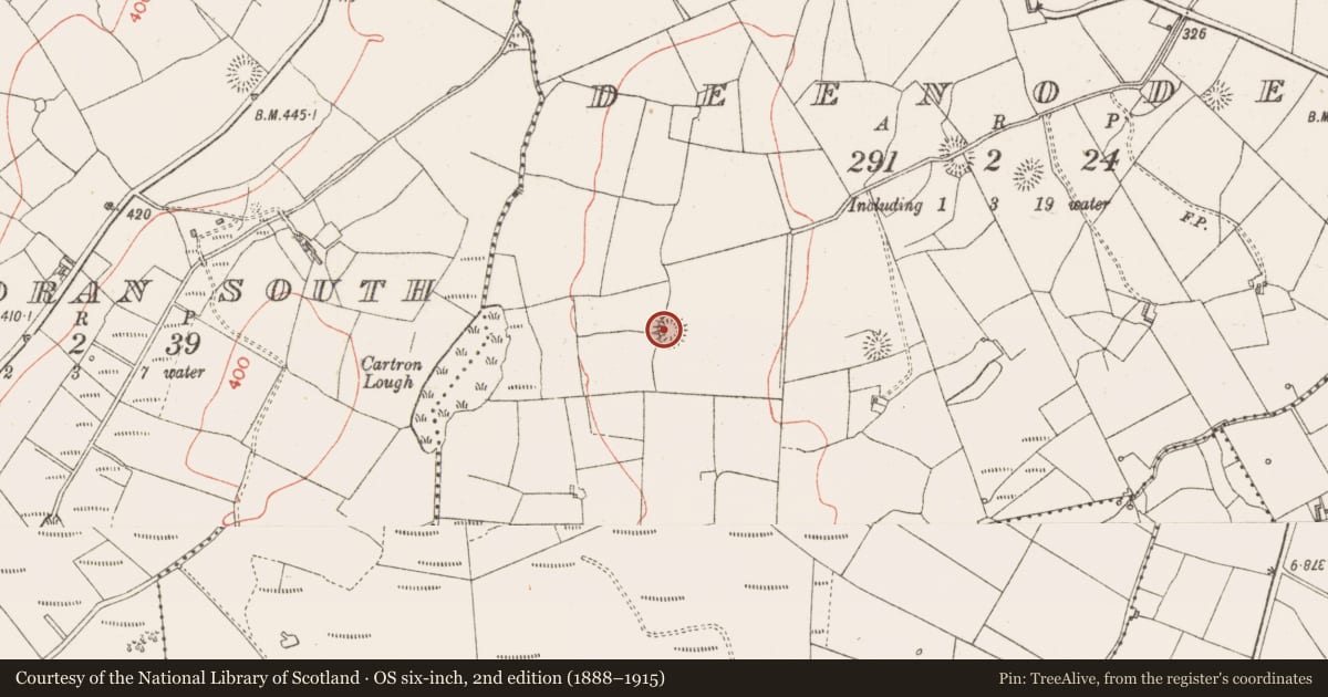 Ordnance Survey six-inch map, 2nd edition (1888–1915) covering the location of Ringfort - rath, Deenodes, County Sligo, with a pin at the register's coordinates