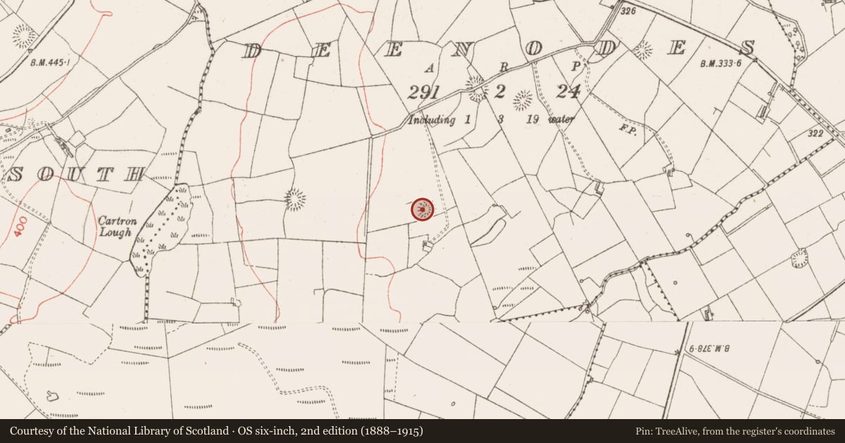 Ordnance Survey six-inch map, 2nd edition (1888–1915) covering the location of Ringfort - rath, Deenodes, County Sligo, with a pin at the register's coordinates