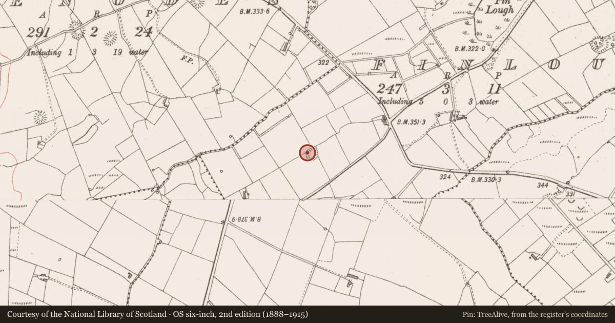 Ordnance Survey six-inch map, 2nd edition (1888–1915) covering the location of Ringfort - rath, Finlough, County Sligo, with a pin at the register's coordinates