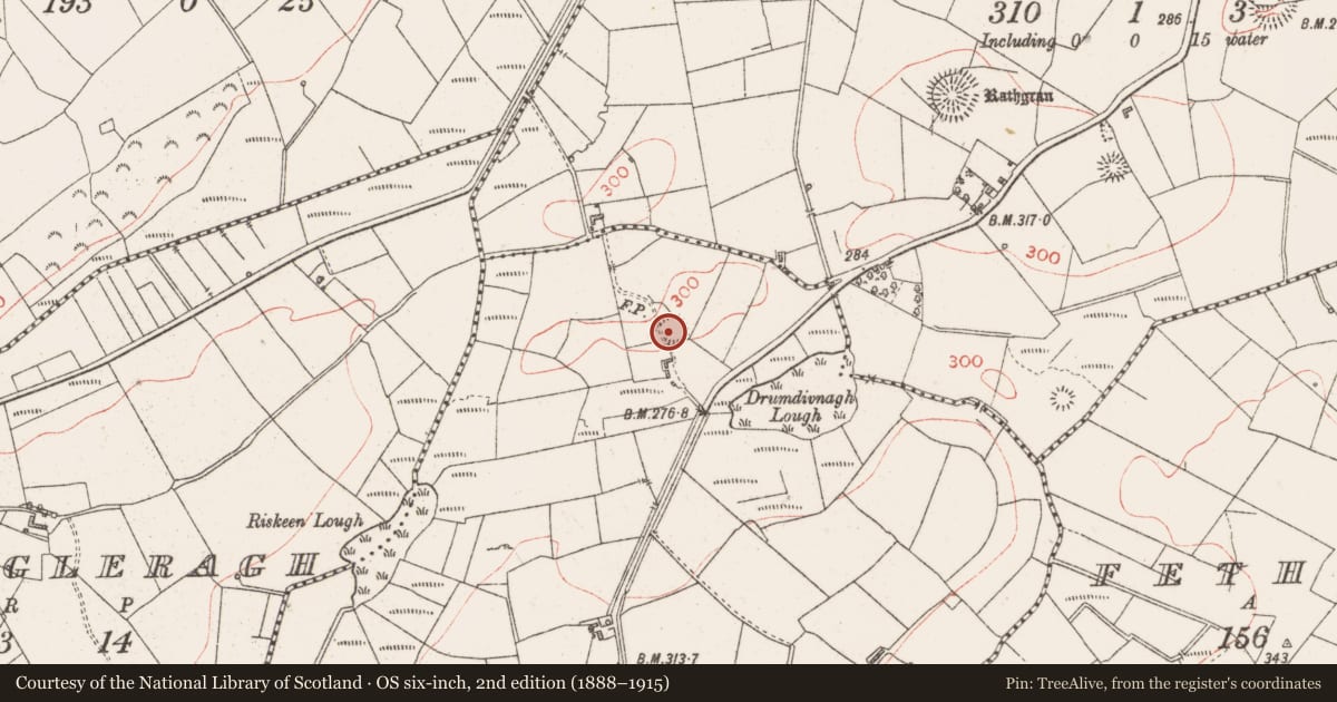 Ordnance Survey six-inch map, 2nd edition (1888–1915) covering the location of Ringfort - rath, Rockfinlough, County Sligo, with a pin at the register's coordinates