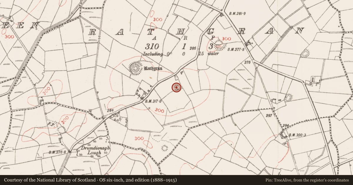 Ordnance Survey six-inch map, 2nd edition (1888–1915) covering the location of Barrow - ring-barrow, Rathgran, County Sligo, with a pin at the register's coordinates