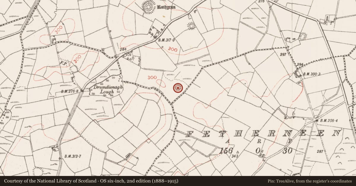 Ordnance Survey six-inch map, 2nd edition (1888–1915) covering the location of Moated site, Rathgran, County Sligo, with a pin at the register's coordinates