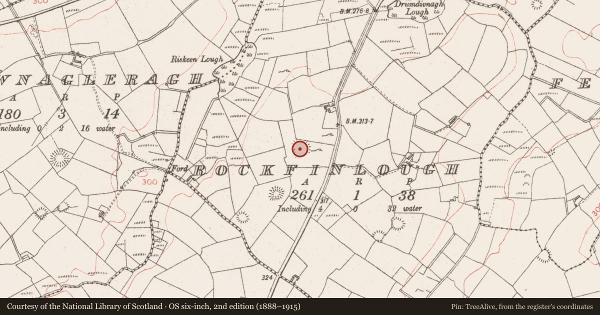 Ordnance Survey six-inch map, 2nd edition (1888–1915) covering the location of Ringfort - rath, Rockfinlough, County Sligo, with a pin at the register's coordinates