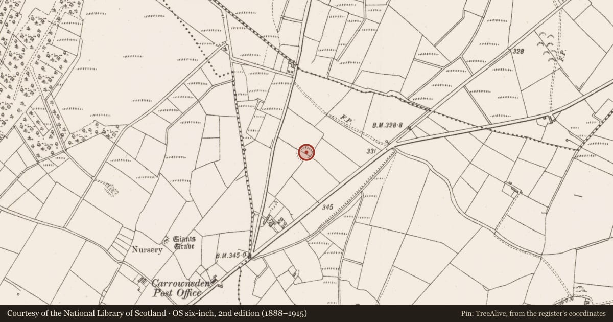 Ordnance Survey six-inch map, 2nd edition (1888–1915) covering the location of Ringfort - rath, Carrowmurray, County Sligo, with a pin at the register's coordinates