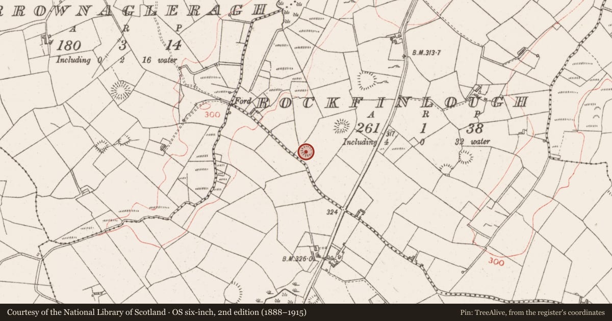 Ordnance Survey six-inch map, 2nd edition (1888–1915) covering the location of Ringfort - rath, Rockfinlough, County Sligo, with a pin at the register's coordinates