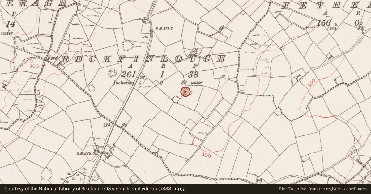 Ordnance Survey six-inch map, 2nd edition (1888–1915) covering the location of Ringfort - rath, Rockfinlough, County Sligo, with a pin at the register's coordinates