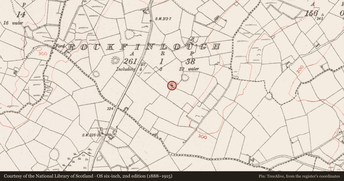 Ordnance Survey six-inch map, 2nd edition (1888–1915) covering the location of Enclosure, Rockfinlough, County Sligo, with a pin at the register's coordinates