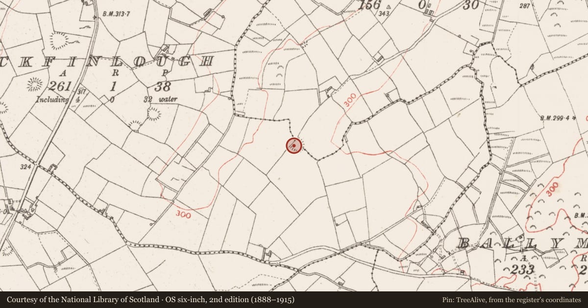 Ordnance Survey six-inch map, 2nd edition (1888–1915) covering the location of Ringfort - rath, Rockfinlough, County Sligo, with a pin at the register's coordinates