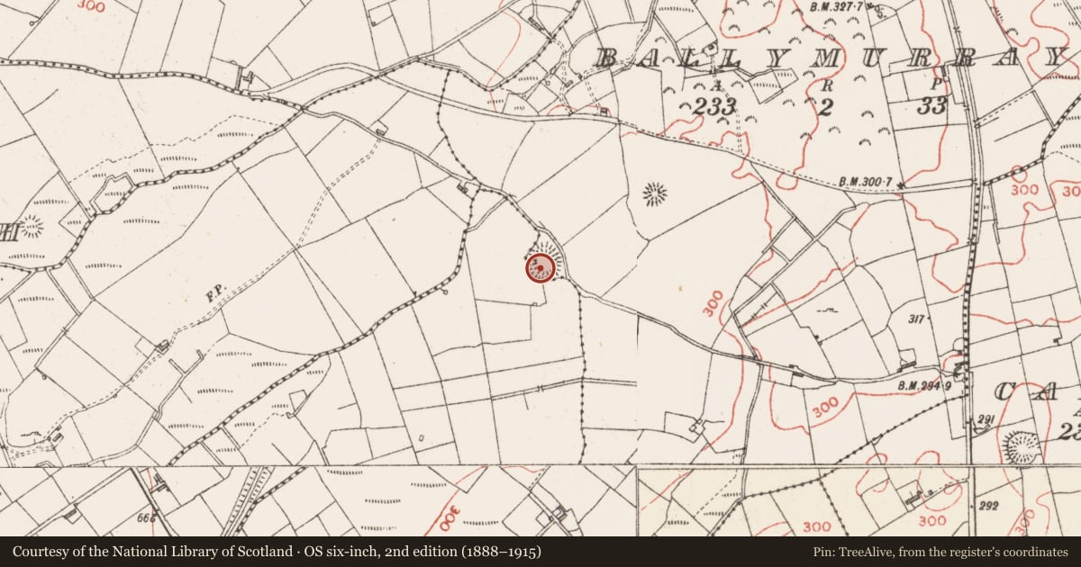 Ordnance Survey six-inch map, 2nd edition (1888–1915) covering the location of Ringfort - rath, Ballymurray, County Sligo, with a pin at the register's coordinates