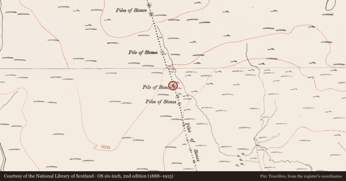 Ordnance Survey six-inch map, 2nd edition (1888–1915) covering the location of Cairn - boundary cairn, Cabragh, Gortakeeran, County Sligo, with a pin at the register's coordinates