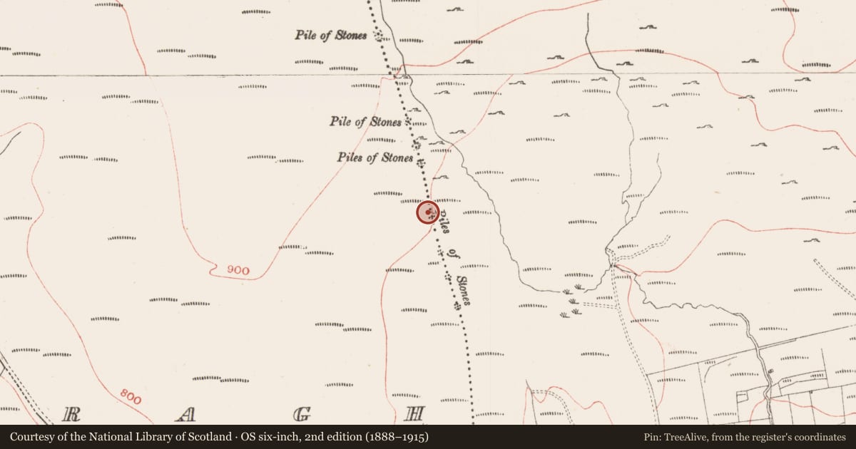 Ordnance Survey six-inch map, 2nd edition (1888–1915) covering the location of Cairn - boundary cairn, Cabragh, Gortakeeran, County Sligo, with a pin at the register's coordinates