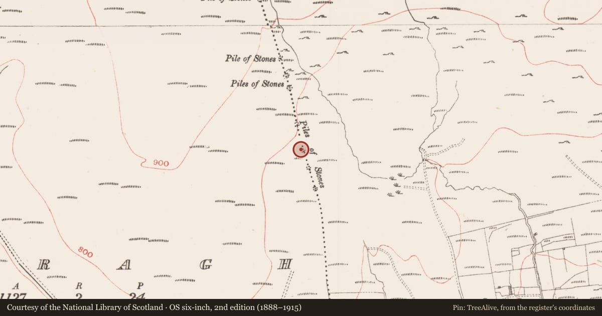 Ordnance Survey six-inch map, 2nd edition (1888–1915) covering the location of Cairn - boundary cairn, Cabragh, Gortakeeran, County Sligo, with a pin at the register's coordinates