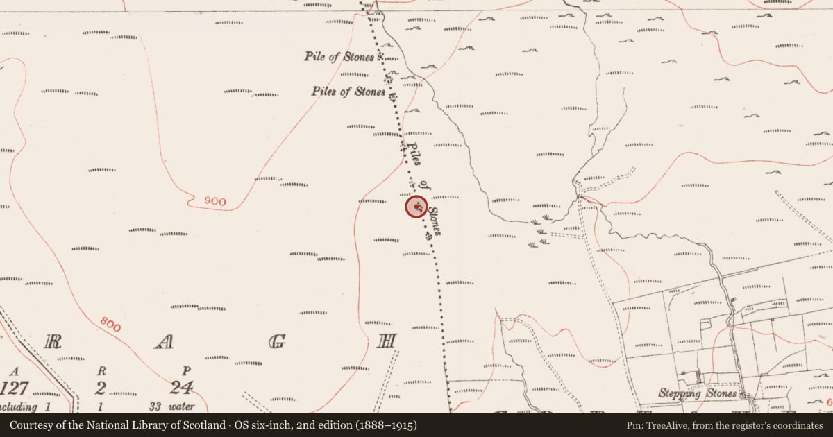 Ordnance Survey six-inch map, 2nd edition (1888–1915) covering the location of Cairn - boundary cairn, Cabragh, Gortakeeran, County Sligo, with a pin at the register's coordinates