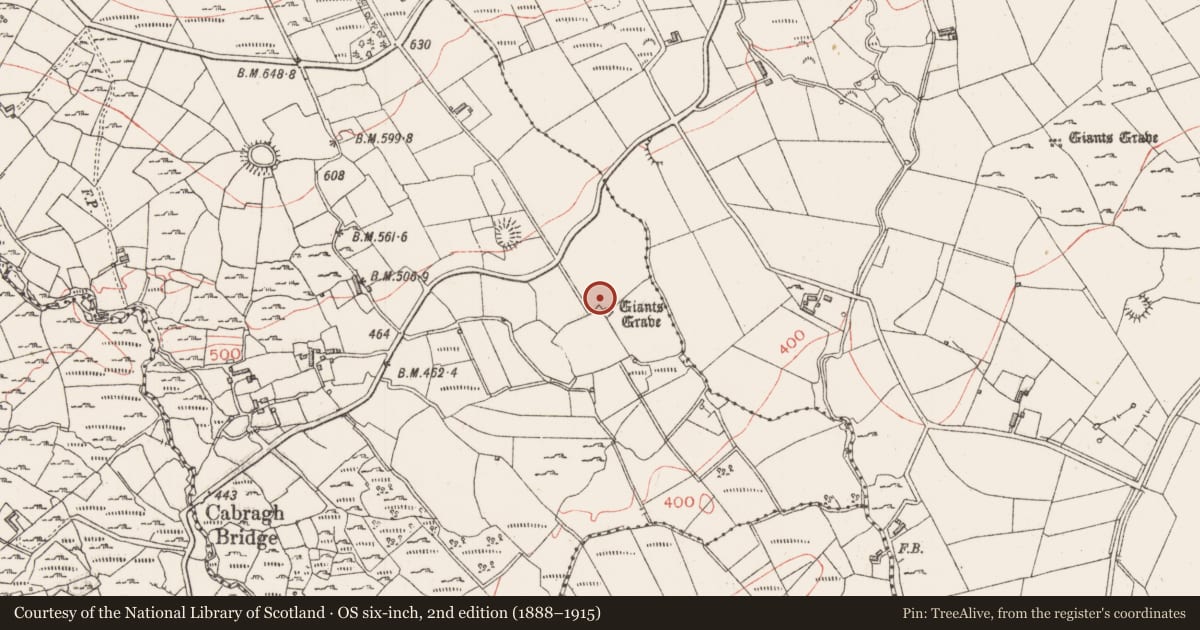 Ordnance Survey six-inch map, 2nd edition (1888–1915) covering the location of Megalithic tomb - wedge tomb, Cabragh, County Sligo, with a pin at the register's coordinates