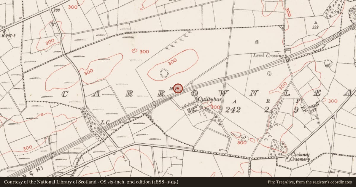 Ordnance Survey six-inch map, 2nd edition (1888–1915) covering the location of Hut site, Carrownleam, County Sligo, with a pin at the register's coordinates