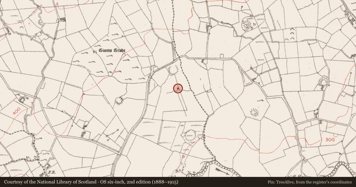 Ordnance Survey six-inch map, 2nd edition (1888–1915) covering the location of Enclosure, Gortakeeran, County Sligo, with a pin at the register's coordinates