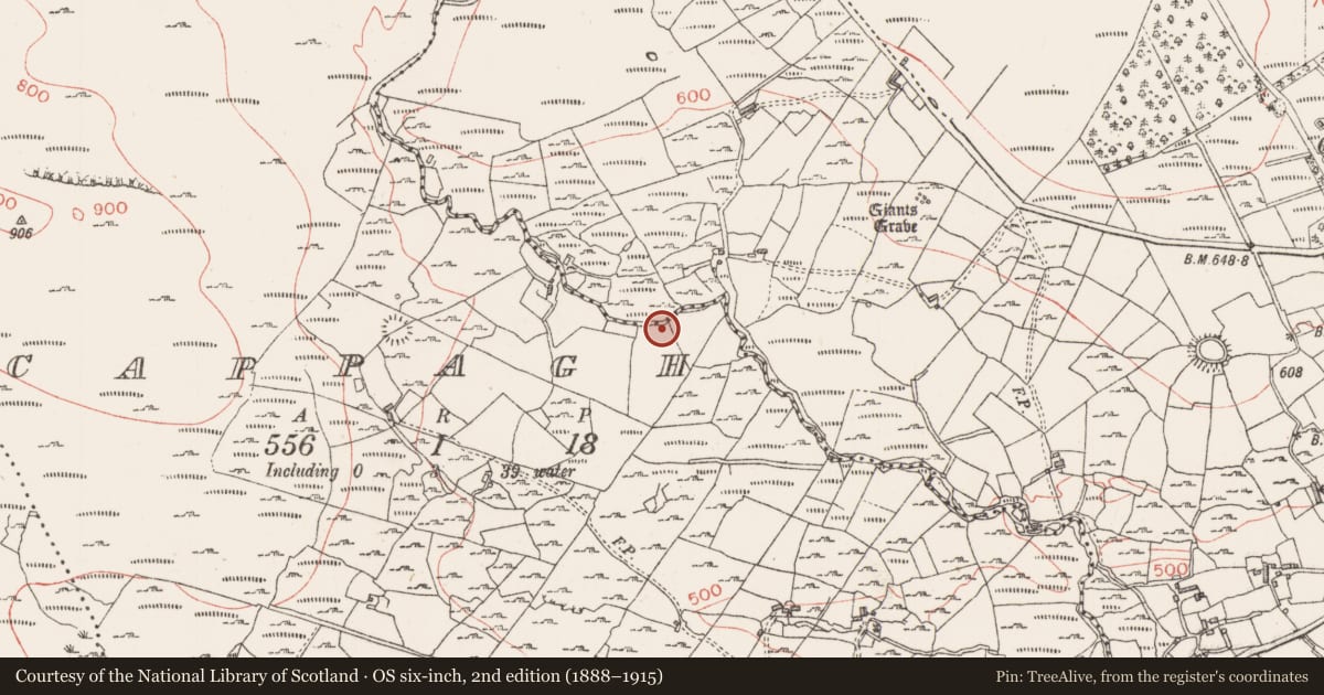 Ordnance Survey six-inch map, 2nd edition (1888–1915) covering the location of Barrow - mound barrow, Cappagh, County Sligo, with a pin at the register's coordinates
