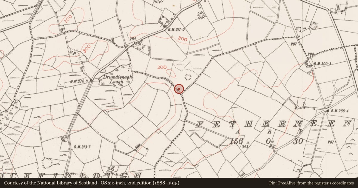 Ordnance Survey six-inch map, 2nd edition (1888–1915) covering the location of Fulacht fia, Rathgran, County Sligo, with a pin at the register's coordinates