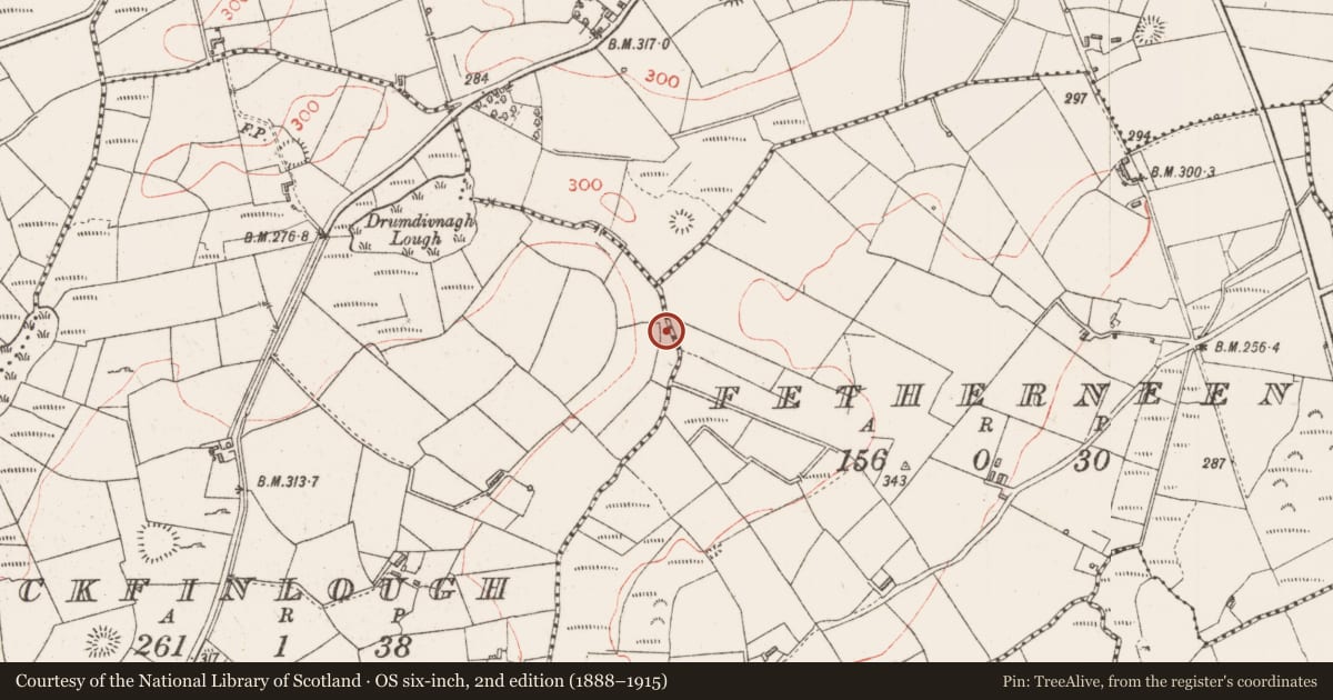 Ordnance Survey six-inch map, 2nd edition (1888–1915) covering the location of Burnt mound, Fetherneen, County Sligo, with a pin at the register's coordinates