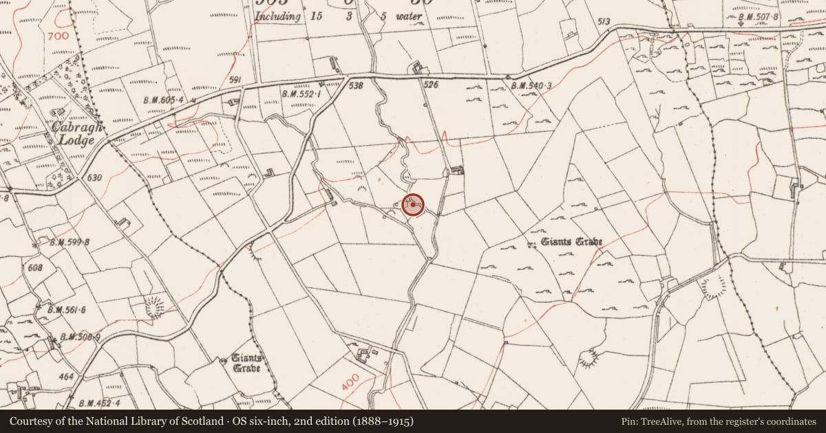 Ordnance Survey six-inch map, 2nd edition (1888–1915) covering the location of Standing stone, Gortakeeran, County Sligo, with a pin at the register's coordinates