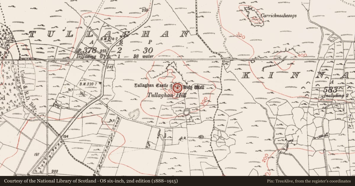 Ordnance Survey six-inch map, 2nd edition (1888–1915) covering the location of Standing stone, Tullaghan, County Sligo, with a pin at the register's coordinates
