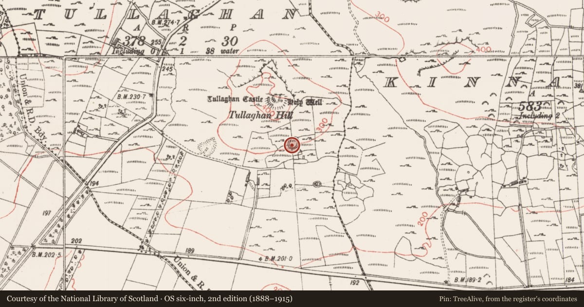 Ordnance Survey six-inch map, 2nd edition (1888–1915) covering the location of Ringfort - cashel, Tullaghan, County Sligo, with a pin at the register's coordinates