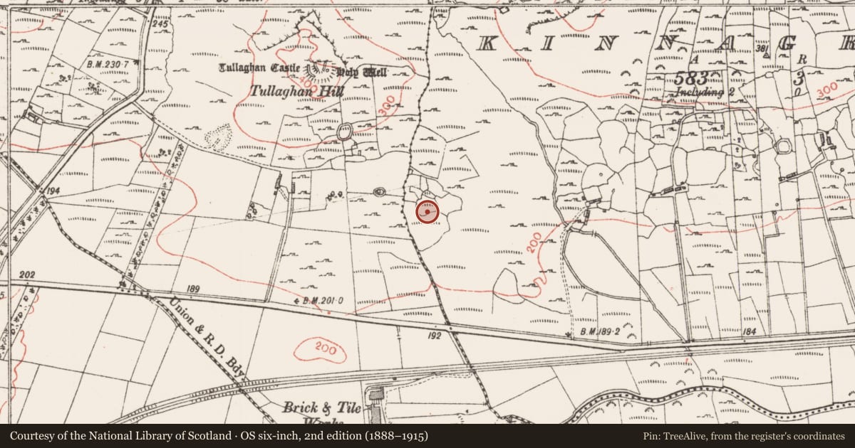 Ordnance Survey six-inch map, 2nd edition (1888–1915) covering the location of Field system, Kinnagrelly, County Sligo, with a pin at the register's coordinates