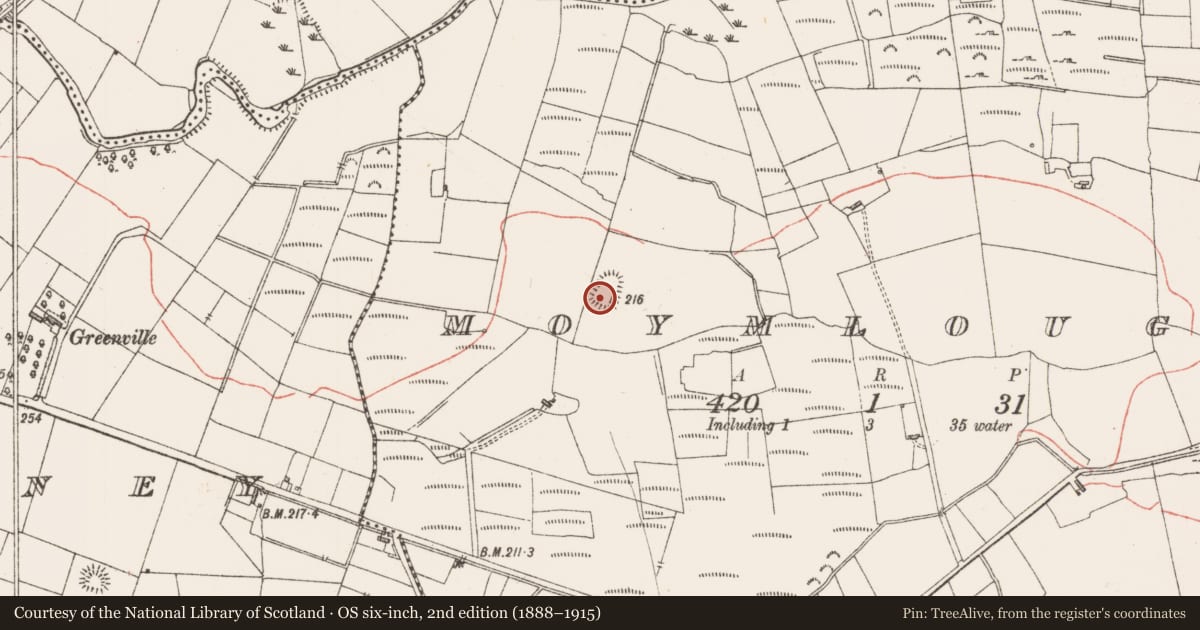 Ordnance Survey six-inch map, 2nd edition (1888–1915) covering the location of Enclosure, Moymlough, County Sligo, with a pin at the register's coordinates