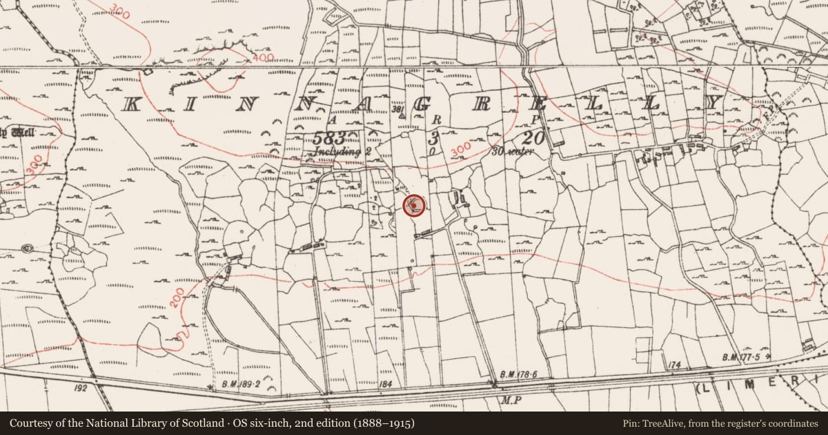 Ordnance Survey six-inch map, 2nd edition (1888–1915) covering the location of Ringfort - cashel, Kinnagrelly, County Sligo, with a pin at the register's coordinates