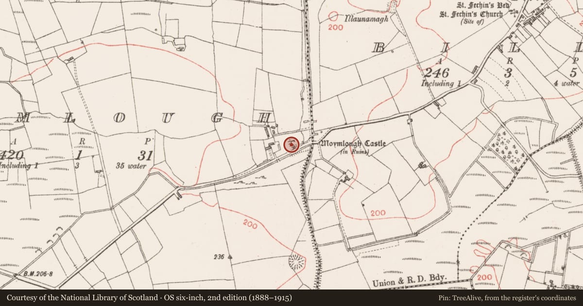Ordnance Survey six-inch map, 2nd edition (1888–1915) covering the location of Castle - tower house, Moymlough, County Sligo, with a pin at the register's coordinates