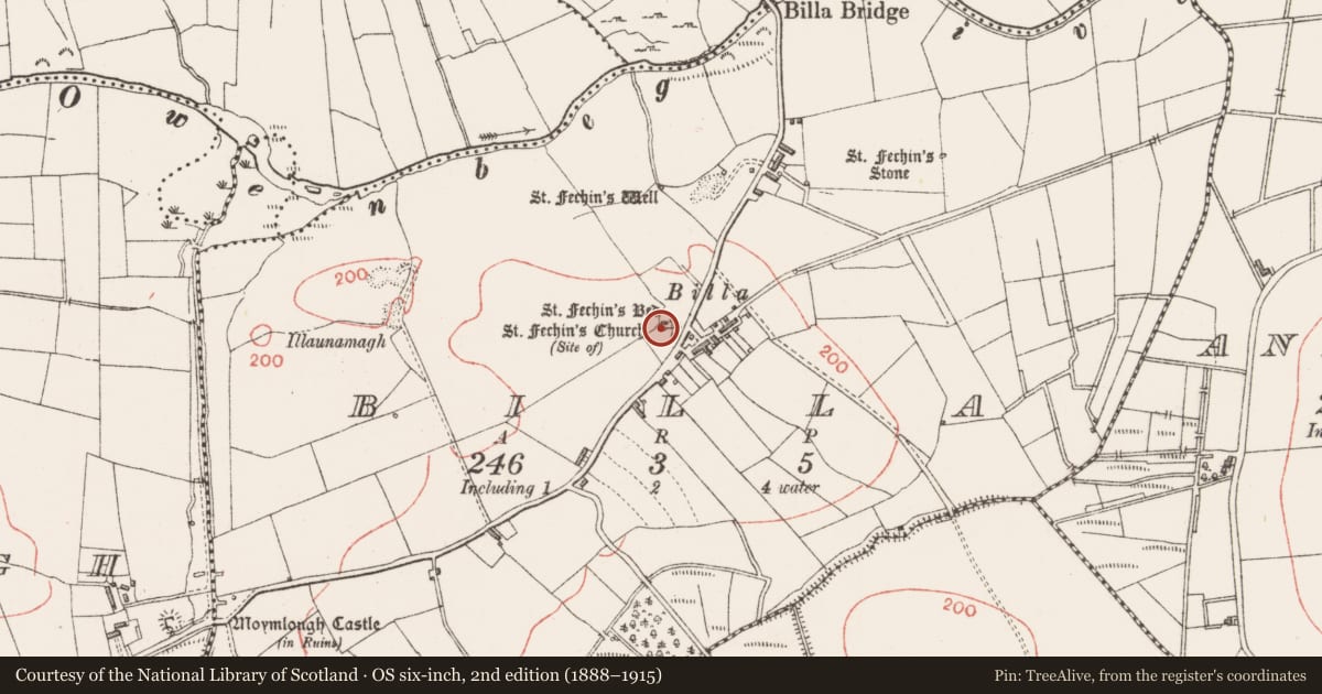 Ordnance Survey six-inch map, 2nd edition (1888–1915) covering the location of Ritual site - holy/saint's stone, Billa, County Sligo, with a pin at the register's coordinates