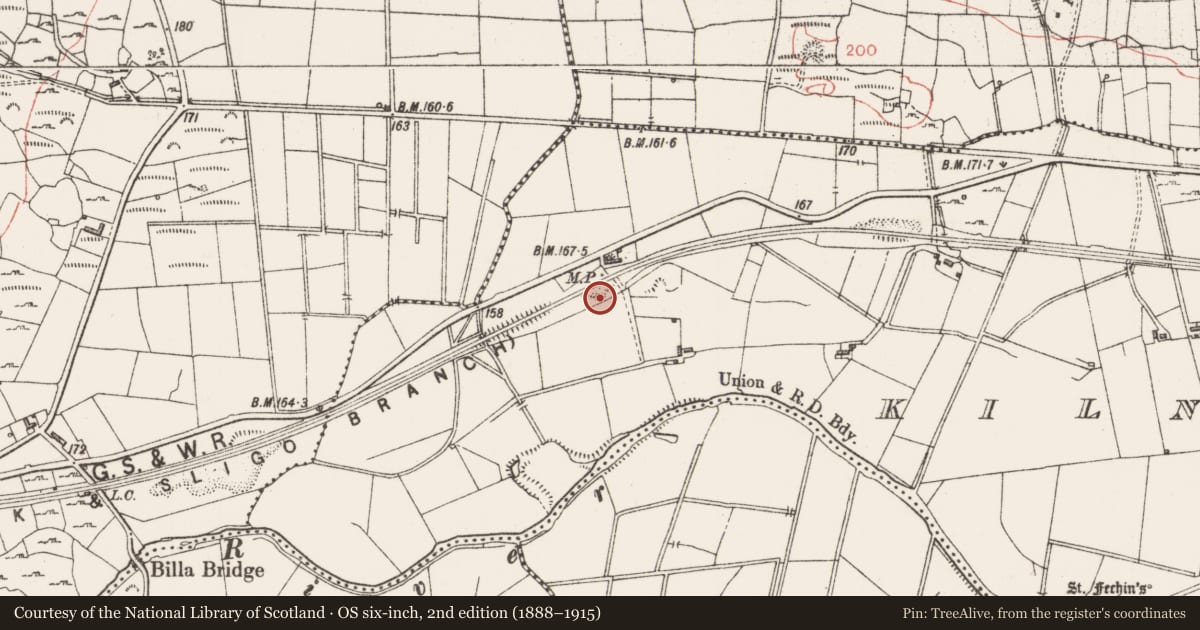 Ordnance Survey six-inch map, 2nd edition (1888–1915) covering the location of Ringfort - rath, Kilnamanagh, County Sligo, with a pin at the register's coordinates
