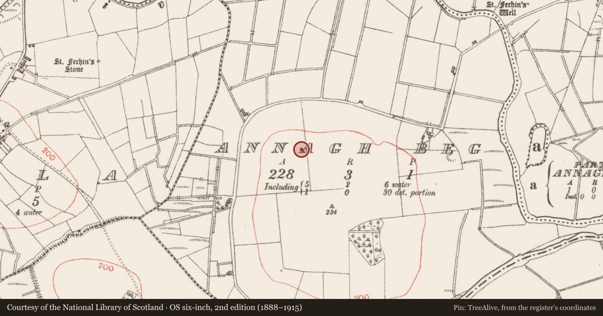 Ordnance Survey six-inch map, 2nd edition (1888–1915) covering the location of Ringfort - rath, Annagh Beg, County Sligo, with a pin at the register's coordinates