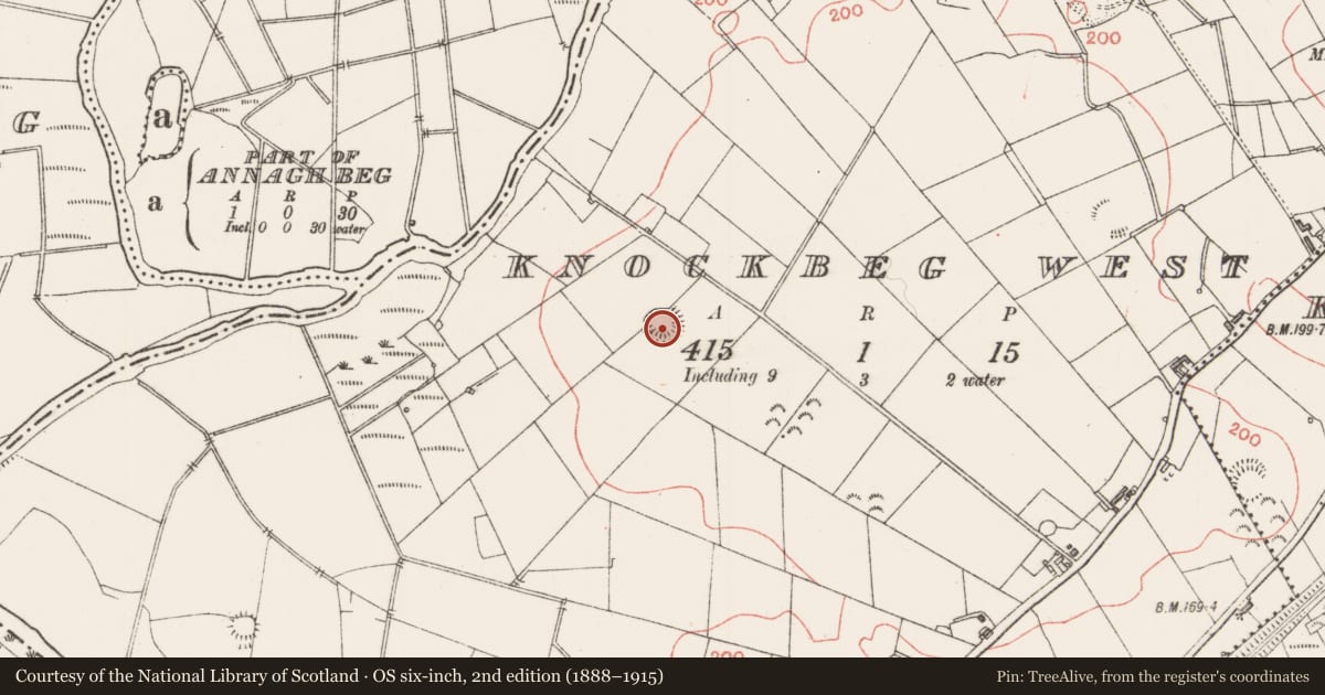 Ordnance Survey six-inch map, 2nd edition (1888–1915) covering the location of Ringfort - rath, Knockbeg West, County Sligo, with a pin at the register's coordinates