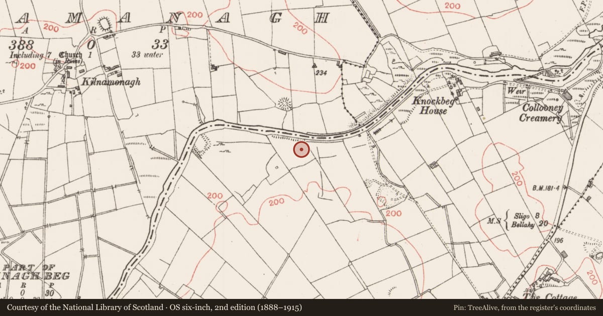 Ordnance Survey six-inch map, 2nd edition (1888–1915) covering the location of Moated site, Knockbeg West, County Sligo, with a pin at the register's coordinates